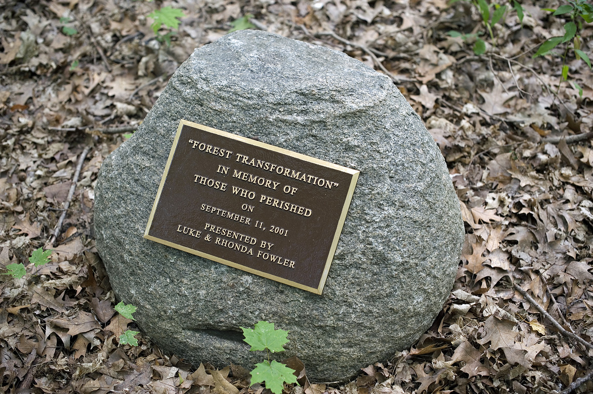 Rock with plaque