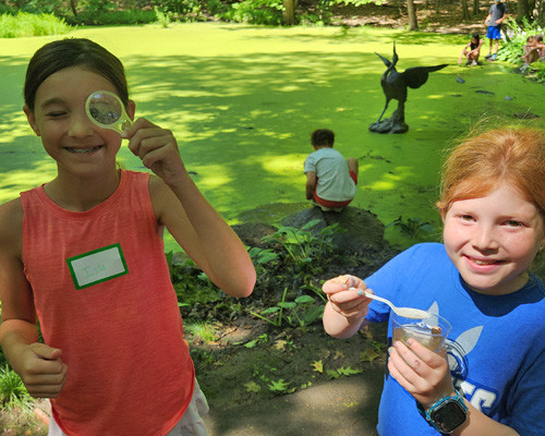 Science sleuths day camp