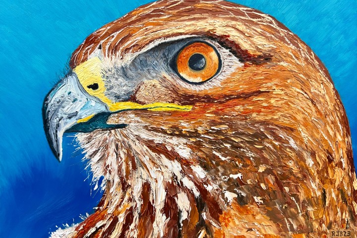 Red tailed hawk painting
